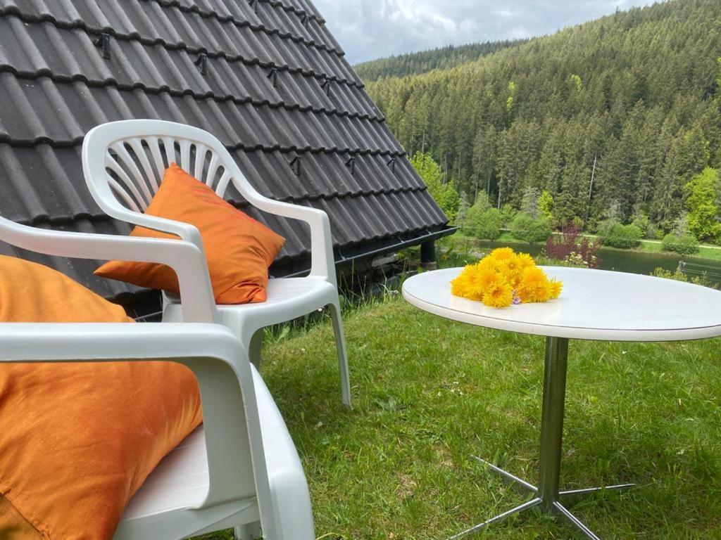 Haus Adler - Komplettes Ferienhaus Am Badesee Erzgrube Extérieur photo