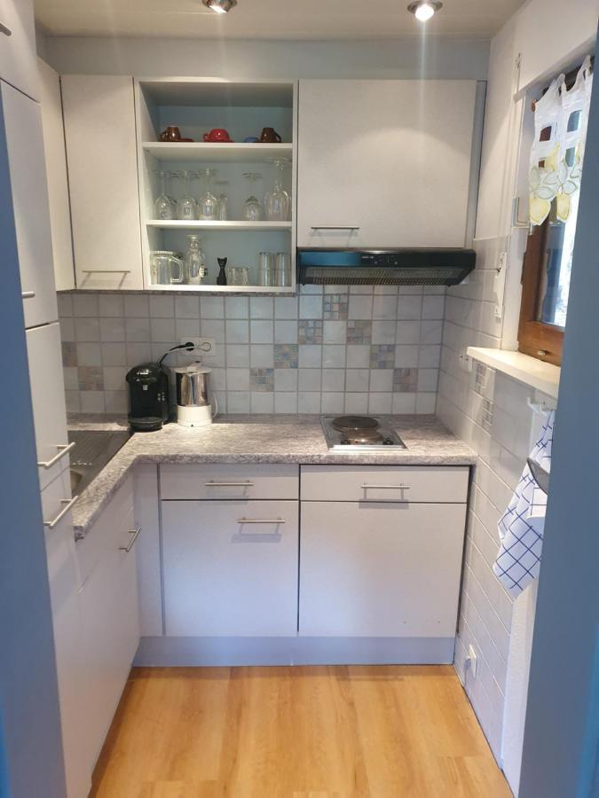 Haus Adler - Komplettes Ferienhaus Am Badesee Erzgrube Extérieur photo