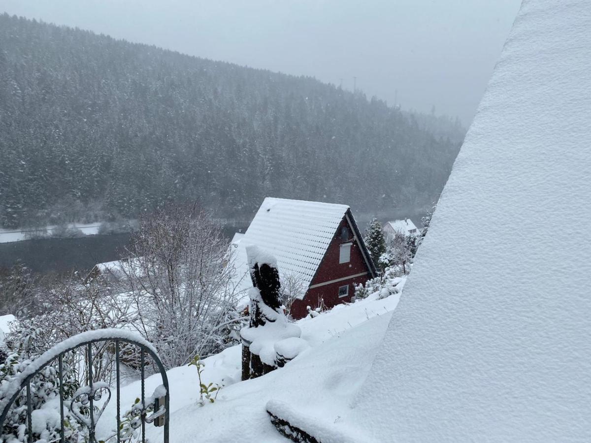 Haus Adler - Komplettes Ferienhaus Am Badesee Erzgrube Extérieur photo