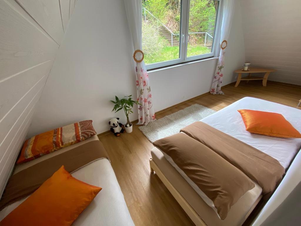 Haus Adler - Komplettes Ferienhaus Am Badesee Erzgrube Extérieur photo