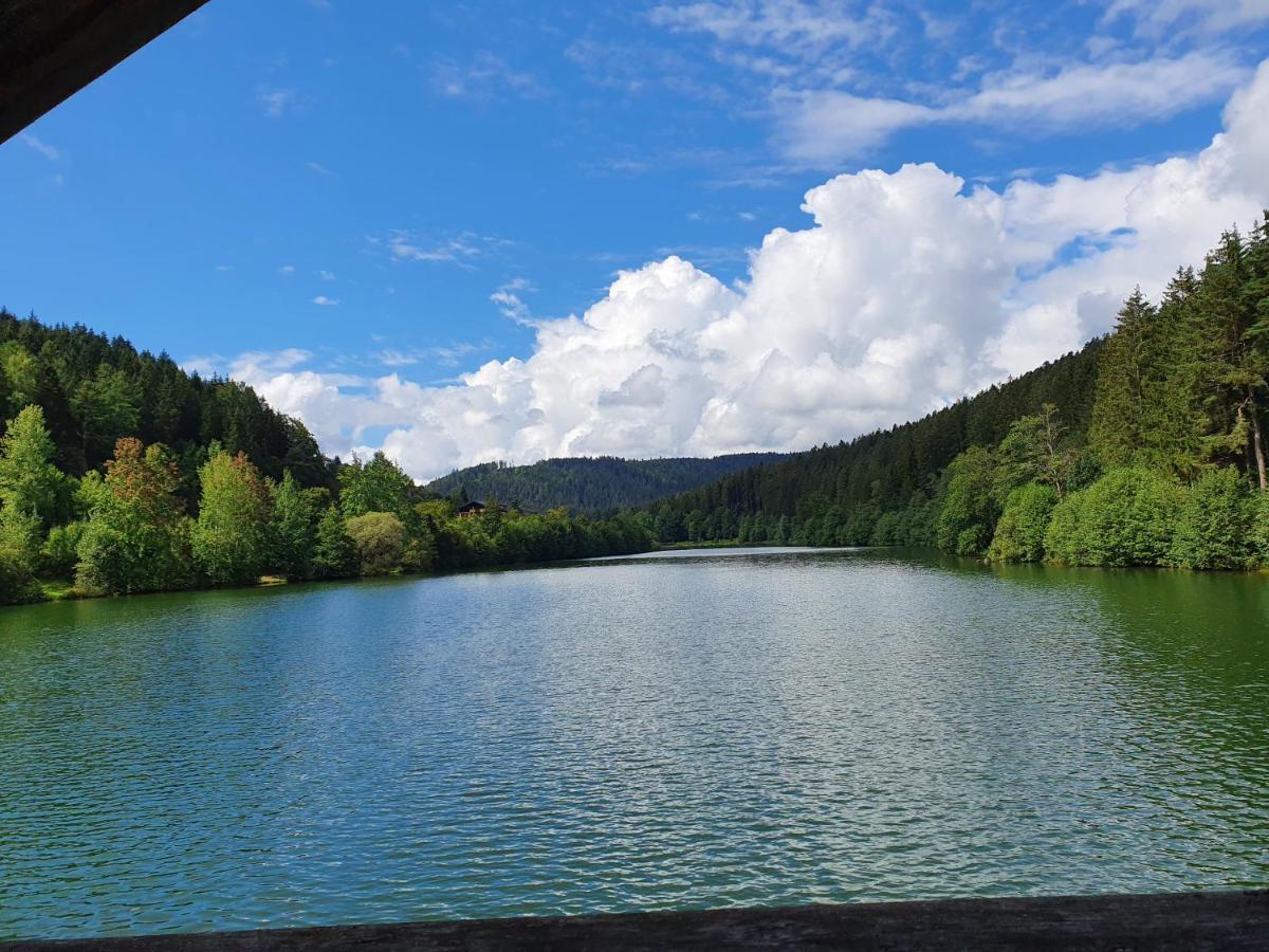 Haus Adler - Komplettes Ferienhaus Am Badesee Erzgrube Extérieur photo